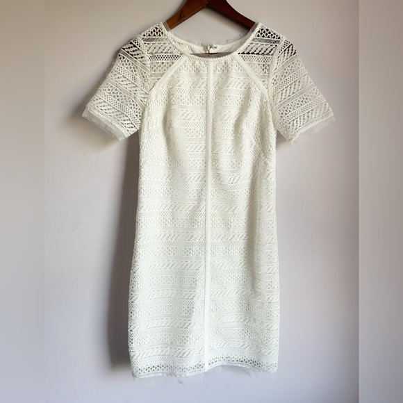 Adrianna Papell Dresses & Skirts - Adrianna Papell Striped Lace Shift Dress, Ivory, Size 2, preowned